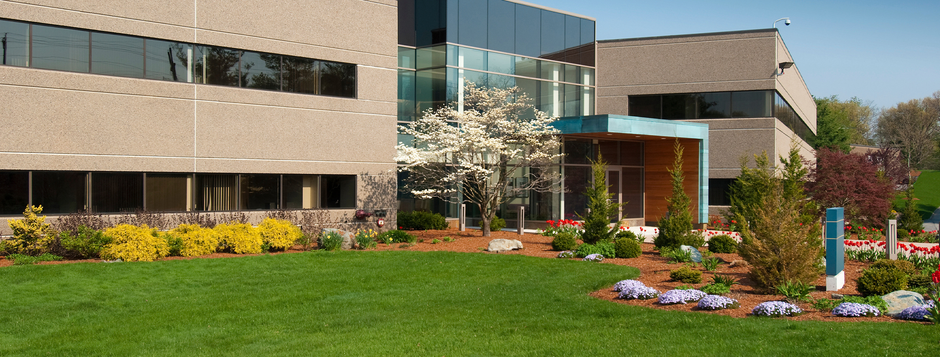 Commercial & Multifamily Property
Maintenance and Landscaping